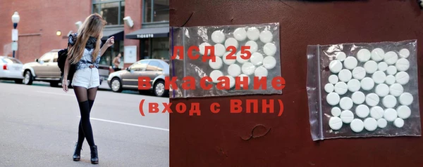 стафф Алзамай