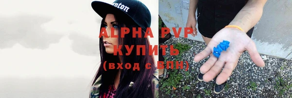 молекула духа Алексин