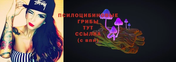 стафф Алзамай