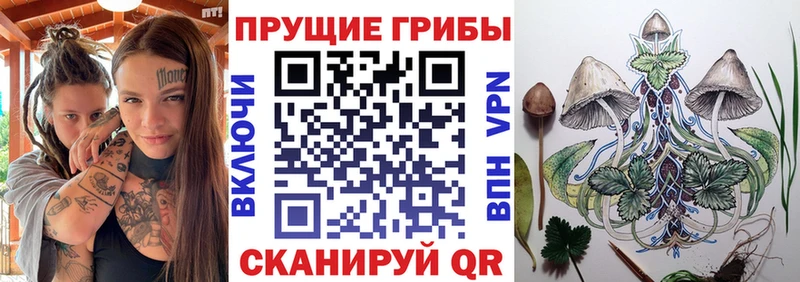 мега зеркало  Бодайбо  Галлюциногенные грибы Cubensis  где купить наркоту 